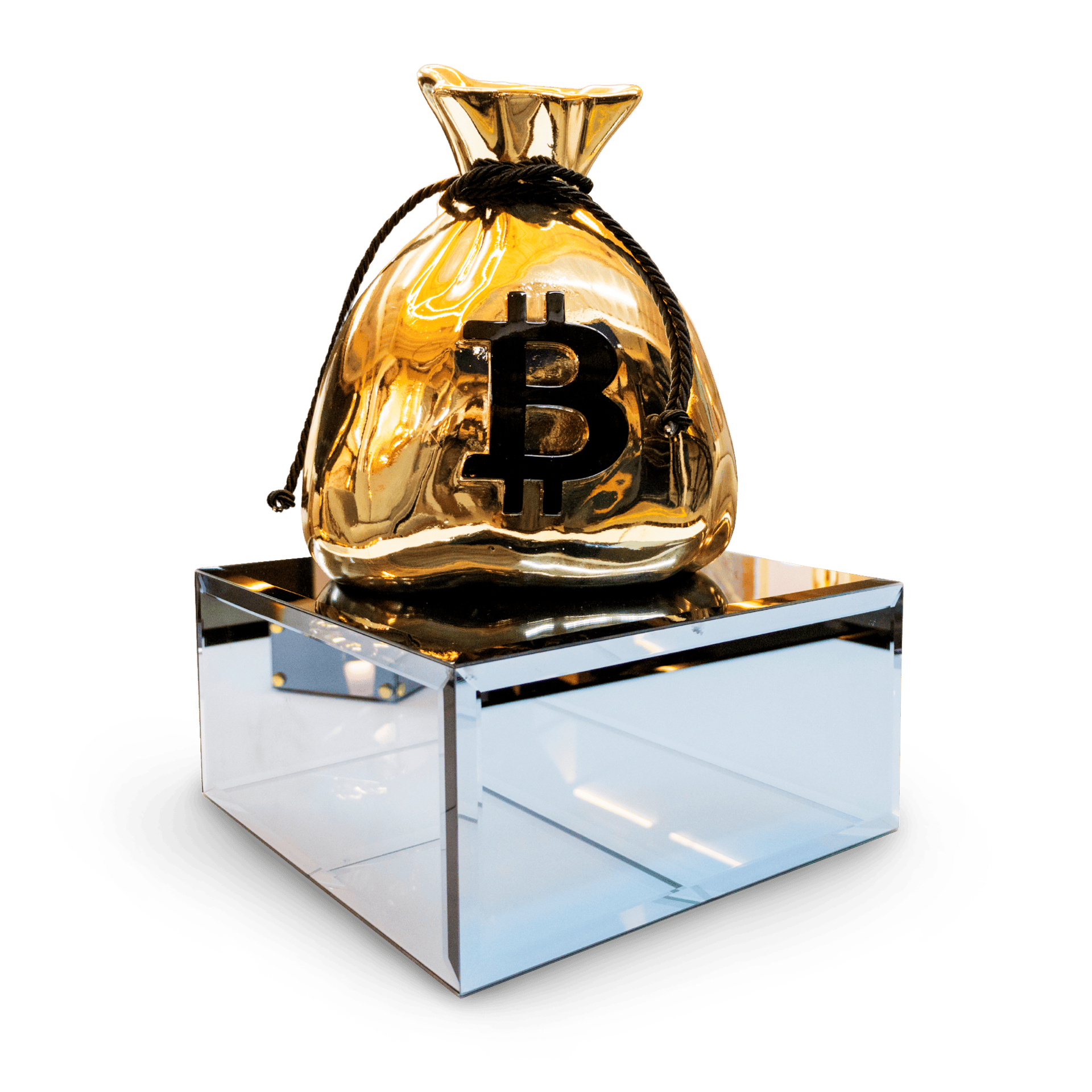 Bolsa Bitcoin Dorada