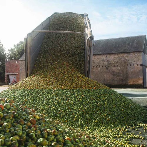 Stockage des pommes : Cidrerie Bayeux