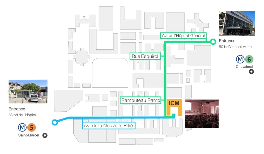 ICM Institute access plan