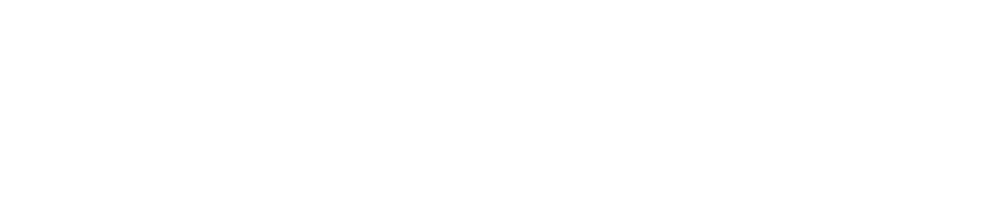 Ecolane by Transit Technologies