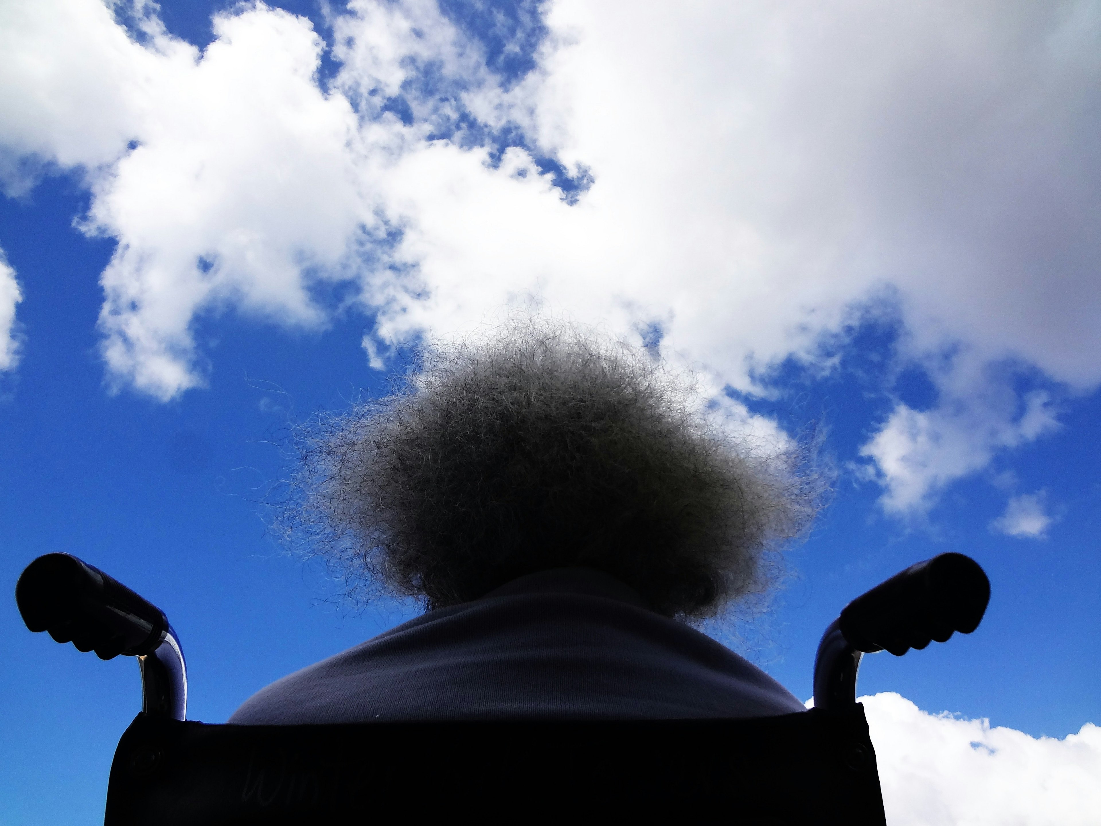 6 Facts You Didn’t Know About Paratransit in Rural Communities