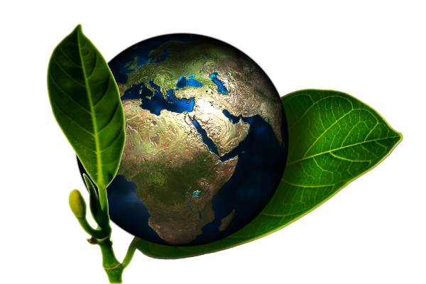Public Transit: Riding to the Planet’s Rescue? Not So Fast!