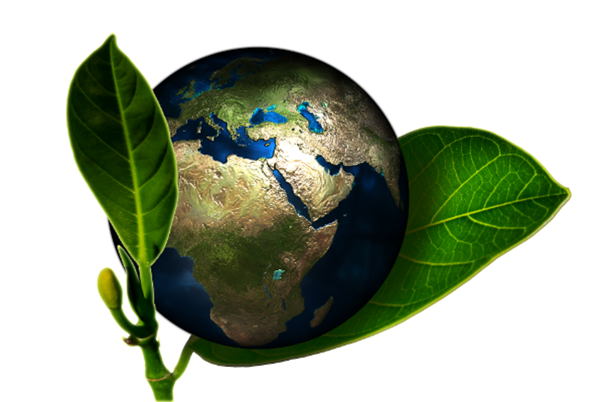 Public Transit: Riding to the Planet’s Rescue? Not So Fast!
