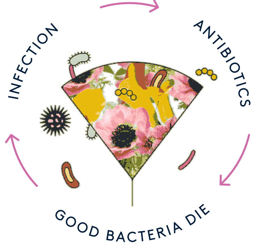 infection process cycle illustrated by Daye