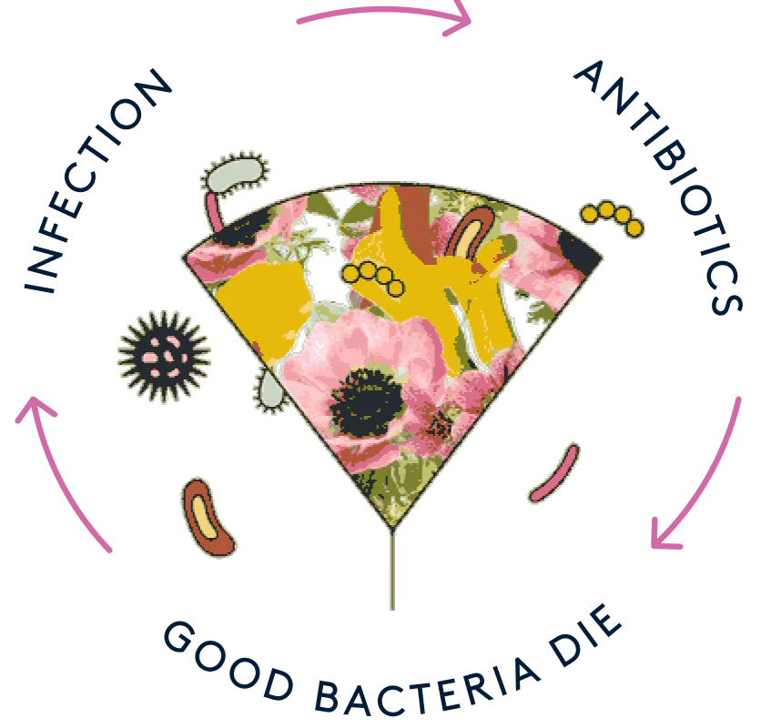 Vaginal microbiome