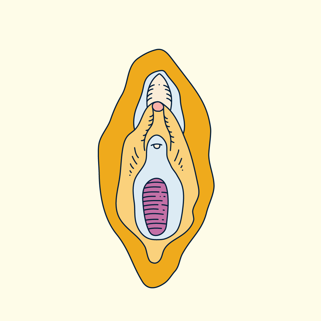 Vaginismus causes pain in the vulva and vagina