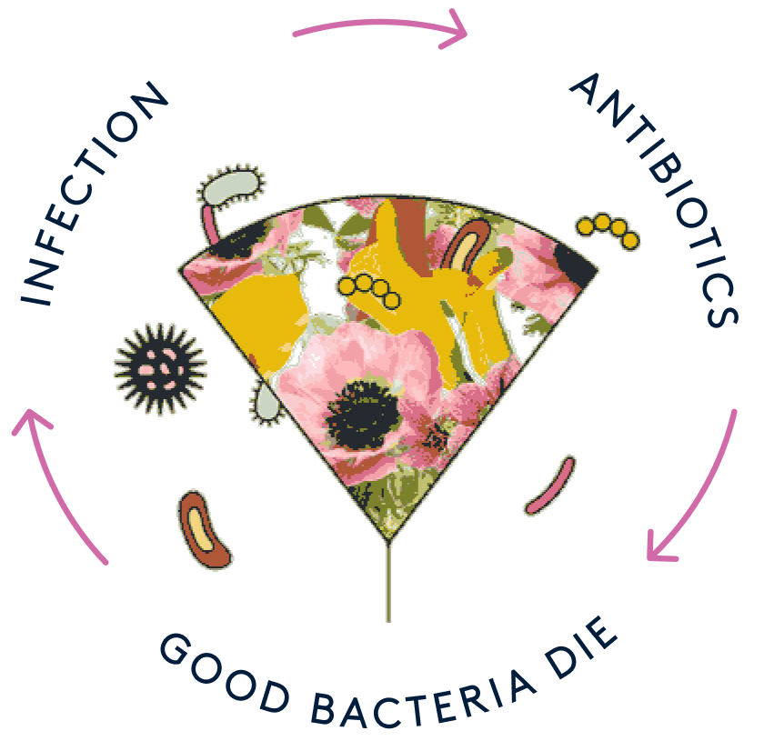 An illustration signifying the vaginal microbiome and its protective properties, which prevent recurrent vaginal infections which are caused by antibiotic and anti-fungal treatments