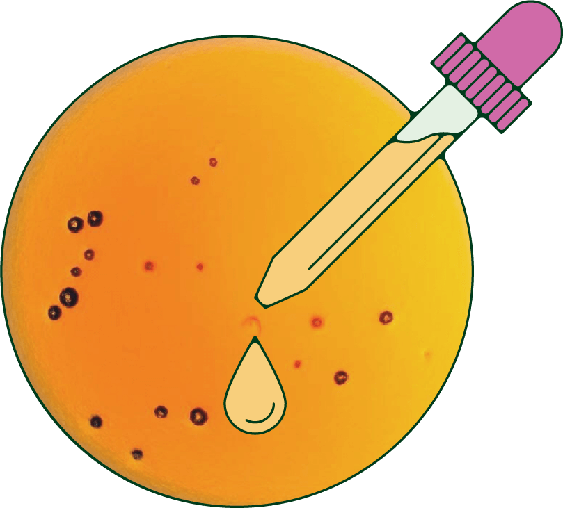 Daye's dedication to pharmaceutical-grade cannabinoid excellence