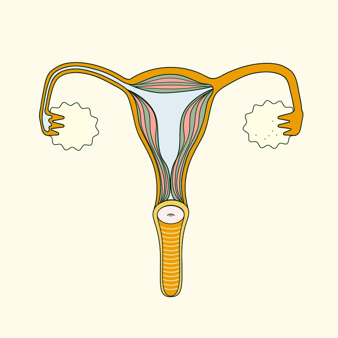 fibroids symptoms