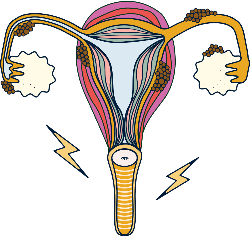 vaginal flora illustration