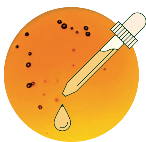 Medical pipette ensuring Daye's safe and pharmaceutical CBD oil