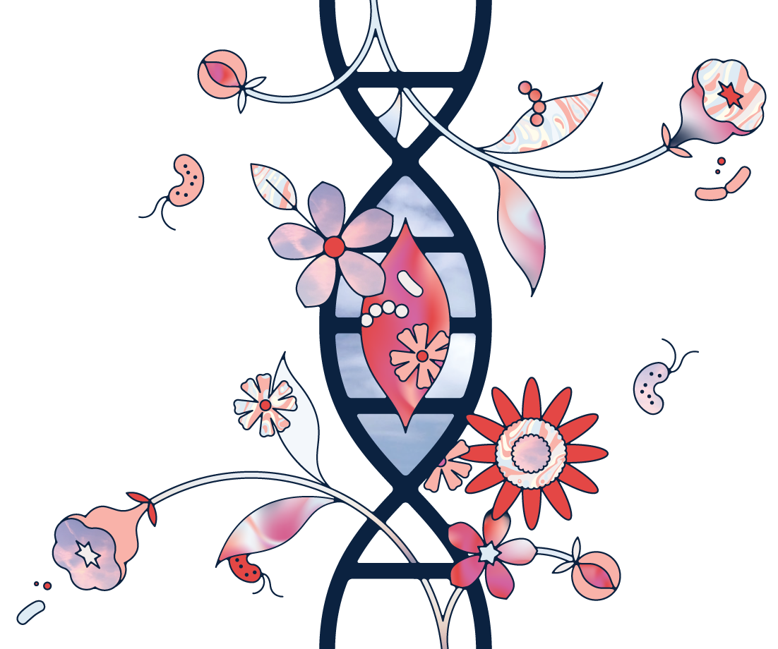 daye floral illustration