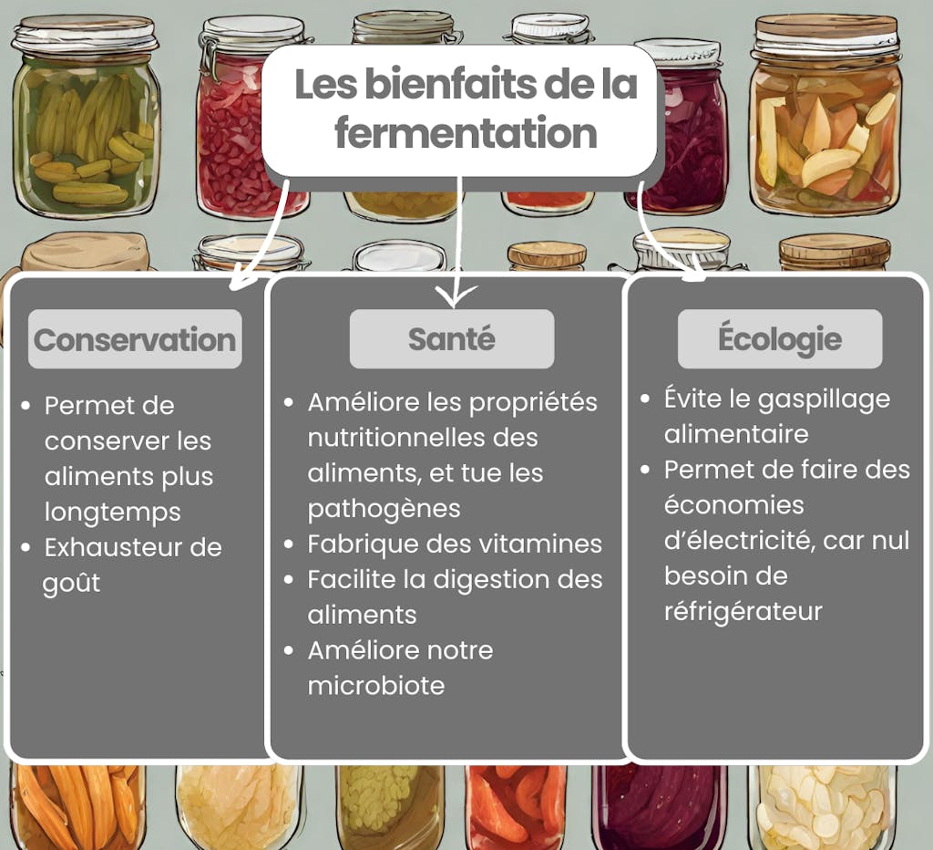 Les bienfaits de la fermentation : une conservation prolongée, des vertus pour la santé, et des avantages écologiques 