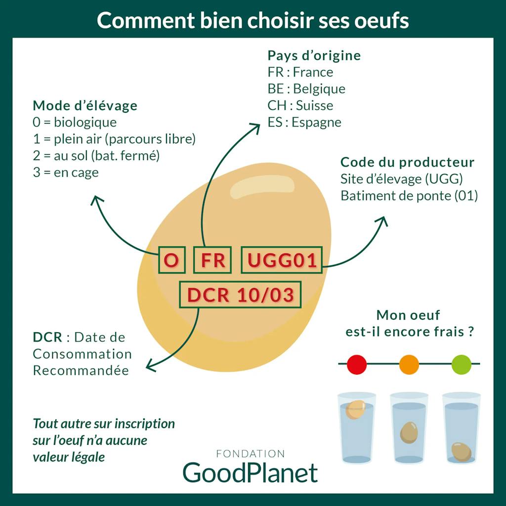 Comment bien choisir ses oeufs, Infographie de la Fondation GoodPlanet