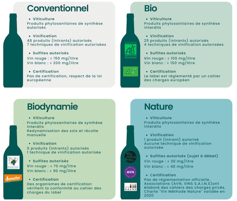 Résumé des caractéristiques de chaque type de vin