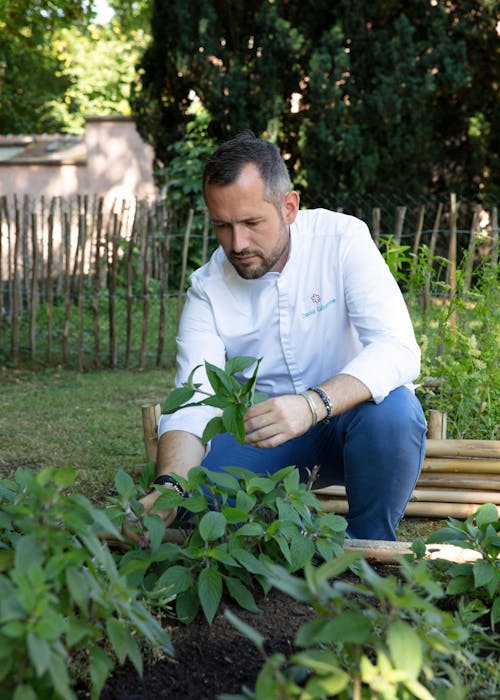 David Galienne, le Jardin des Plumes, restaurant une étoile michelin