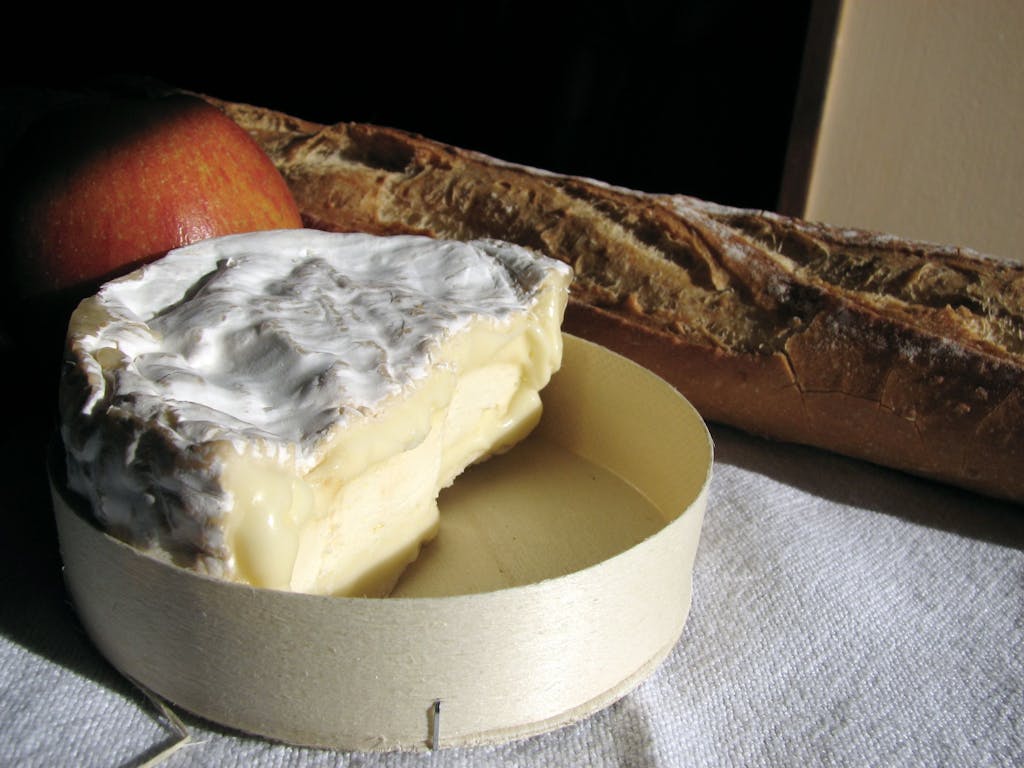Le fromage et le pain : des aliments fermentés