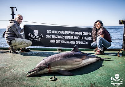 Lamya Essemlali sur le bateau de Sea Shepherd France