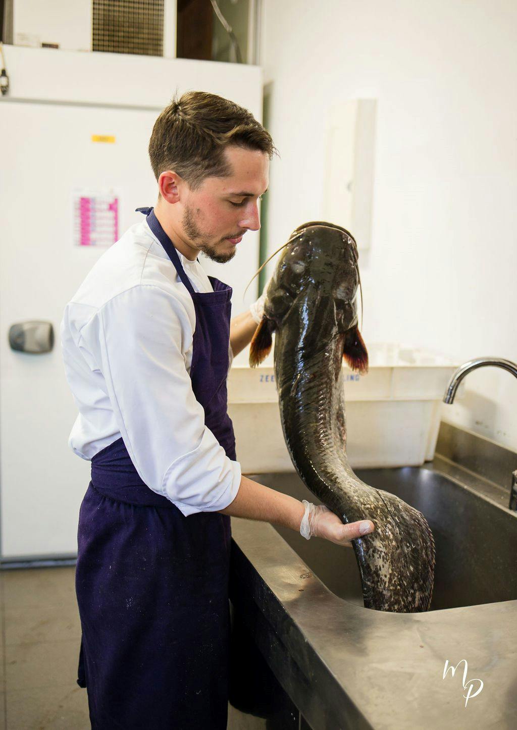 Benjamin en cuisine de La Musardière travaillant un poisson d'eau douce