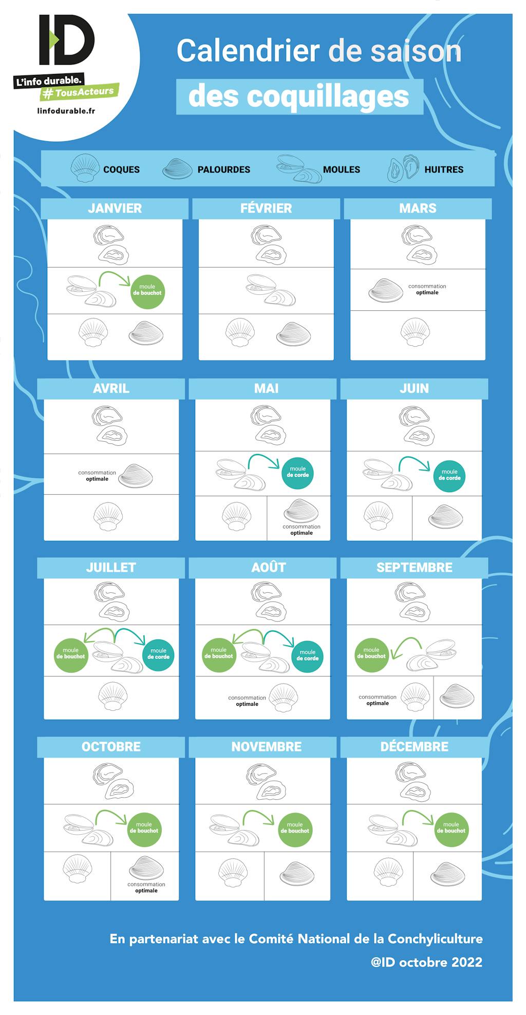 Calendrier des saisons des fruits de mer et coquillages