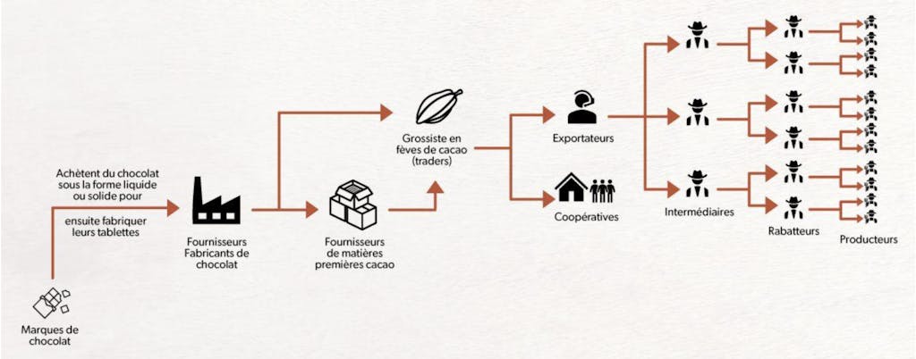 Tout savoir sur la production de cacao