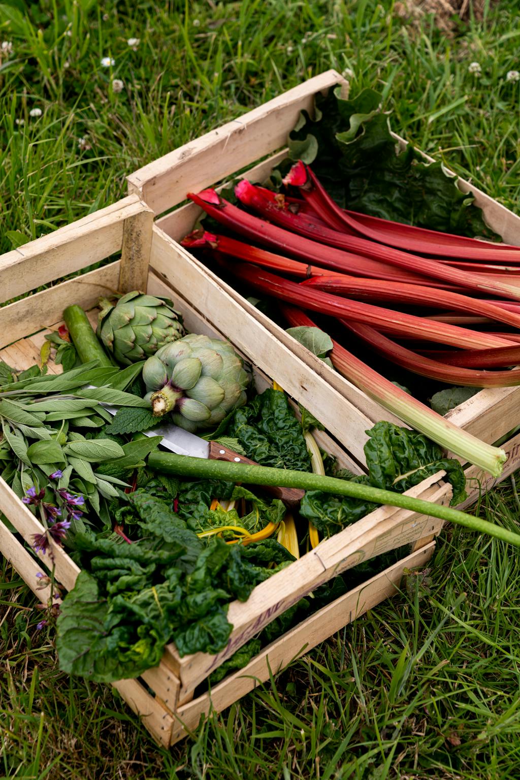 Permaculture Le Botaniste, labellisé 2 macarons Écotable