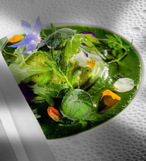 Plat raviole végétale du restaurant La Rotonde des Trésoms, labellisé 1 macaron Écotable