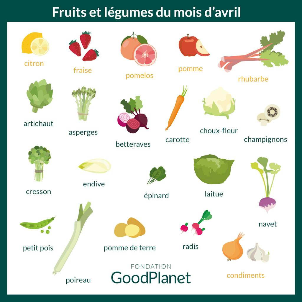 Fruits et légumes de saison d'avril, Infographie Fondation GoodPlanet