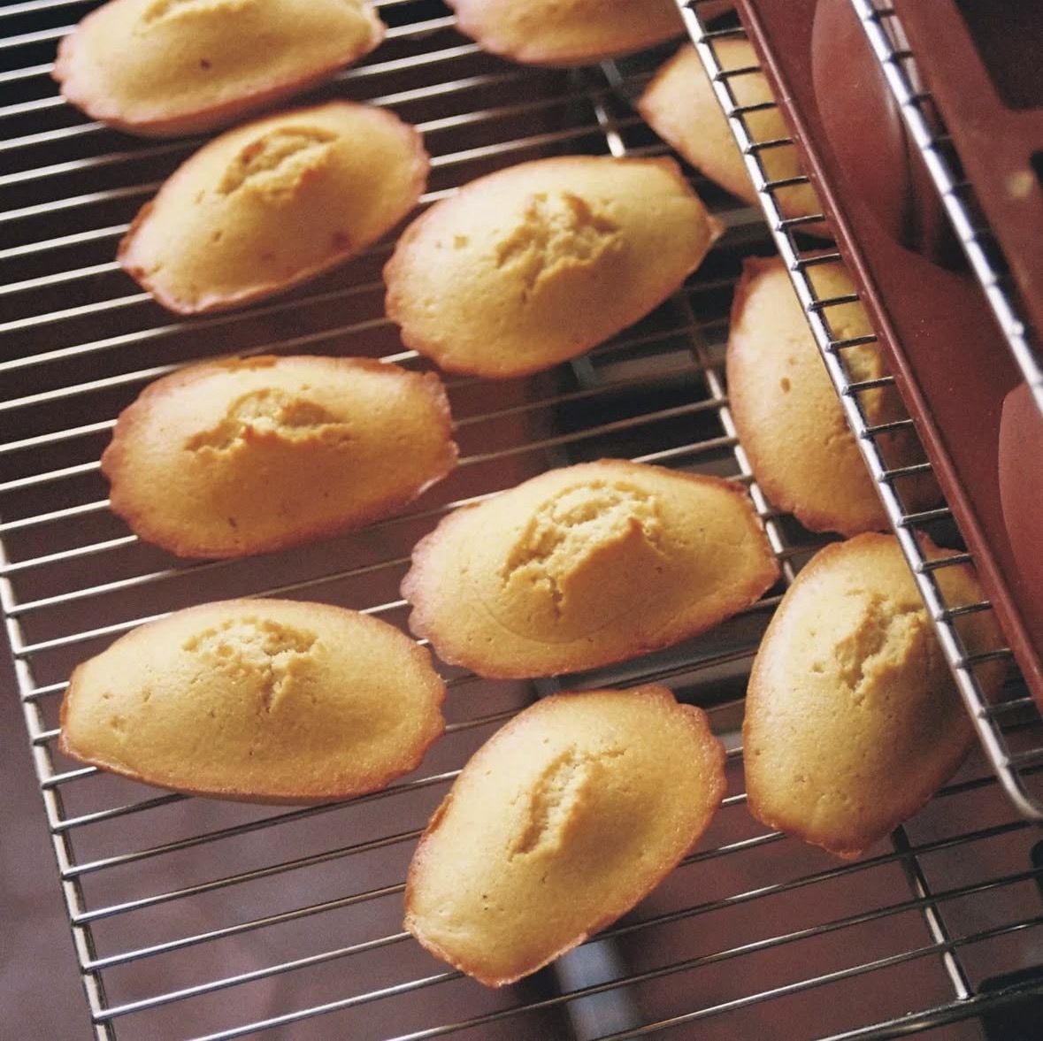 ED'S, boulangerie-sandwicherie labellisée 3 macarons Écotable