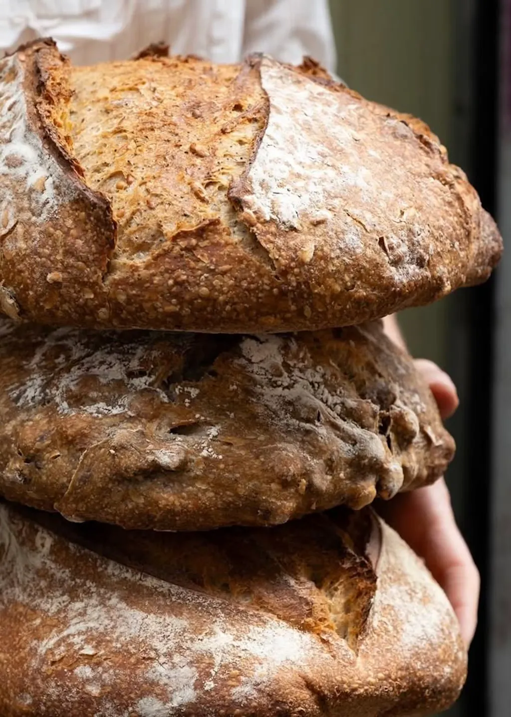 Les pains bio au levain naturel de Farine