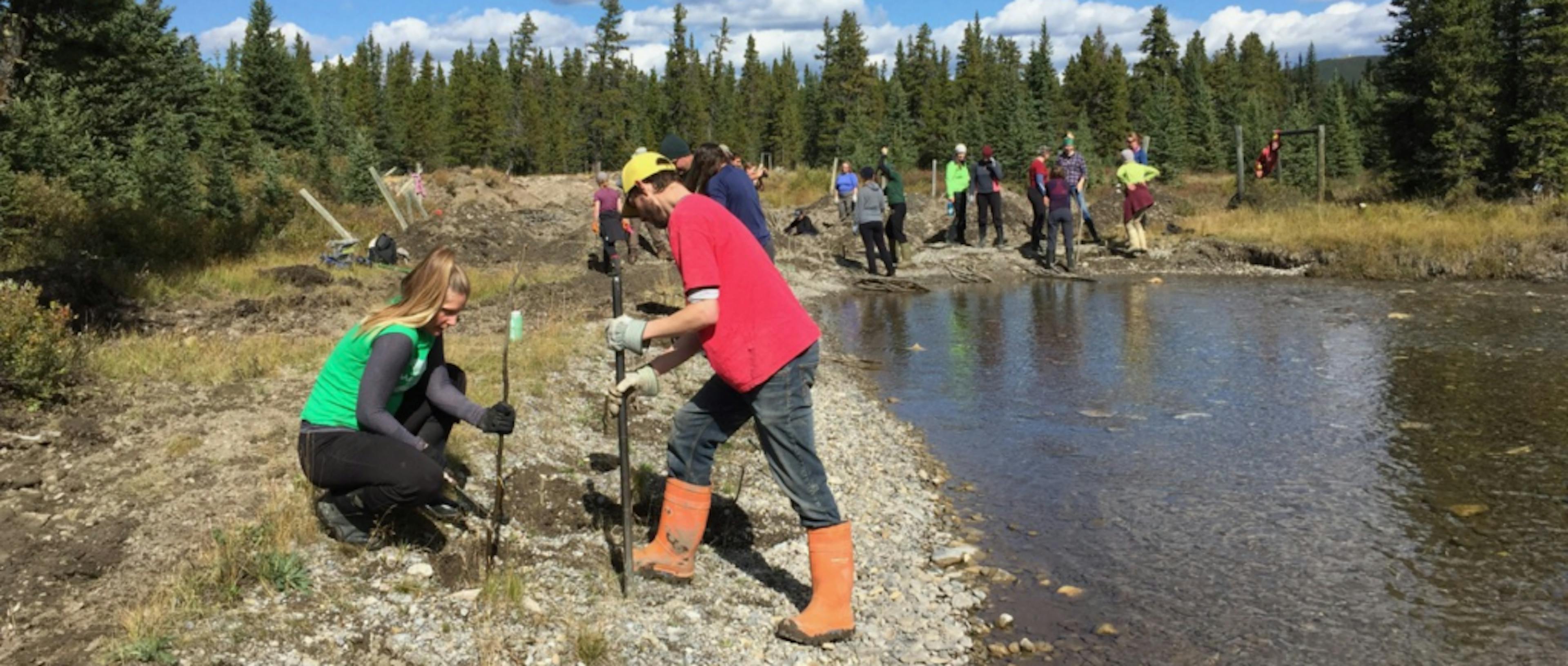 A group of volunteers clean up a riverside