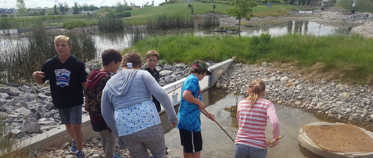 Children investigating wetlands