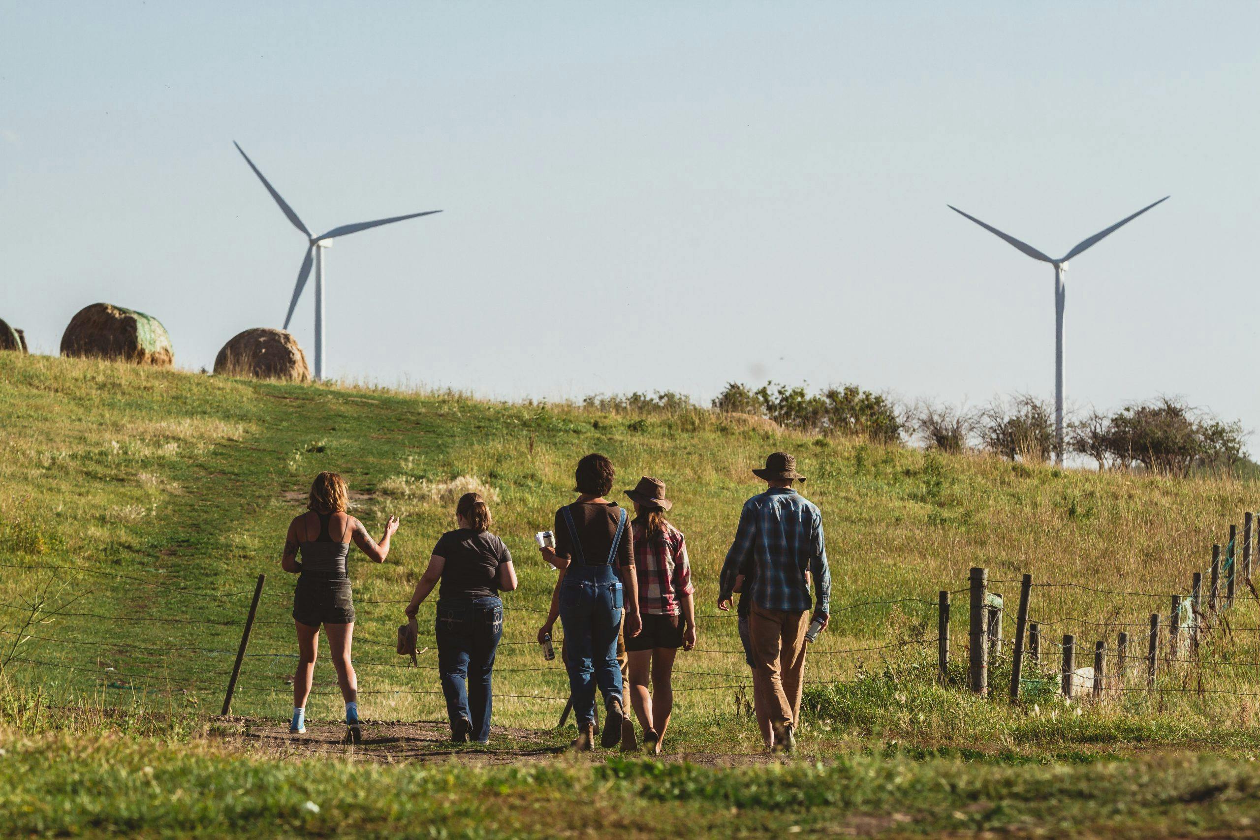 A group of five people look at wind turbines in a green field