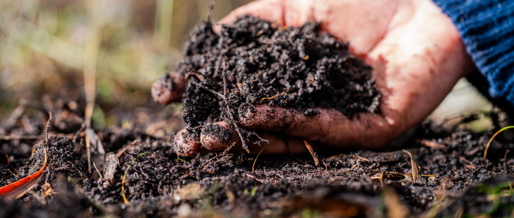 Soil fungi storing carbon through carbon sequestration on a farm, receiving carbon credits.