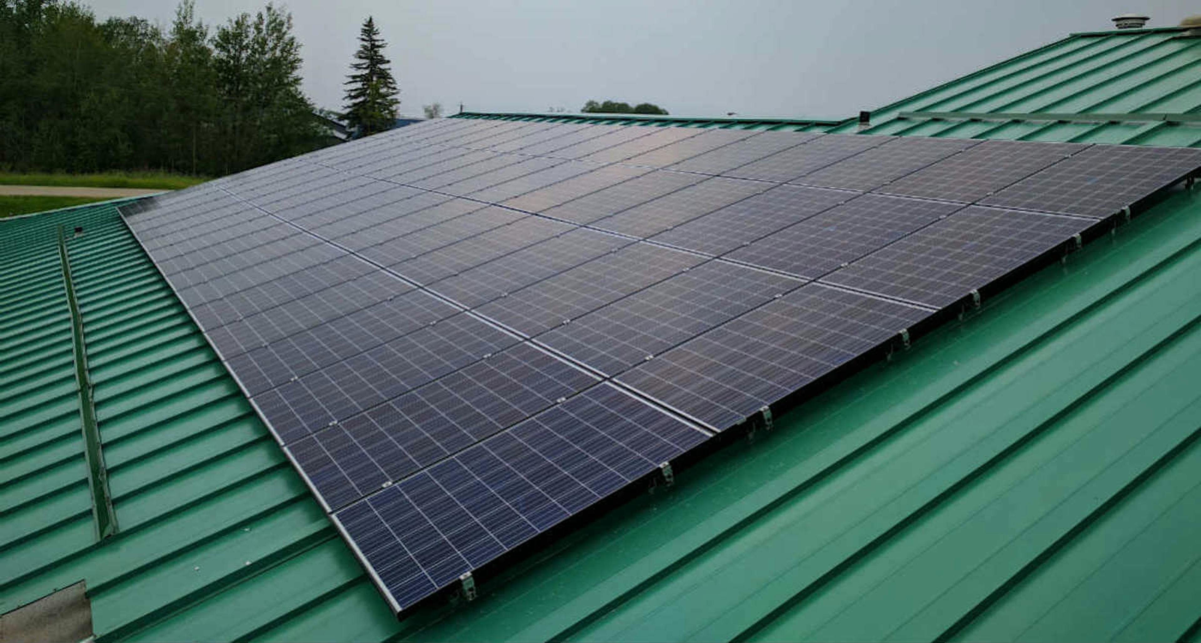 A solar panel on a green roof.