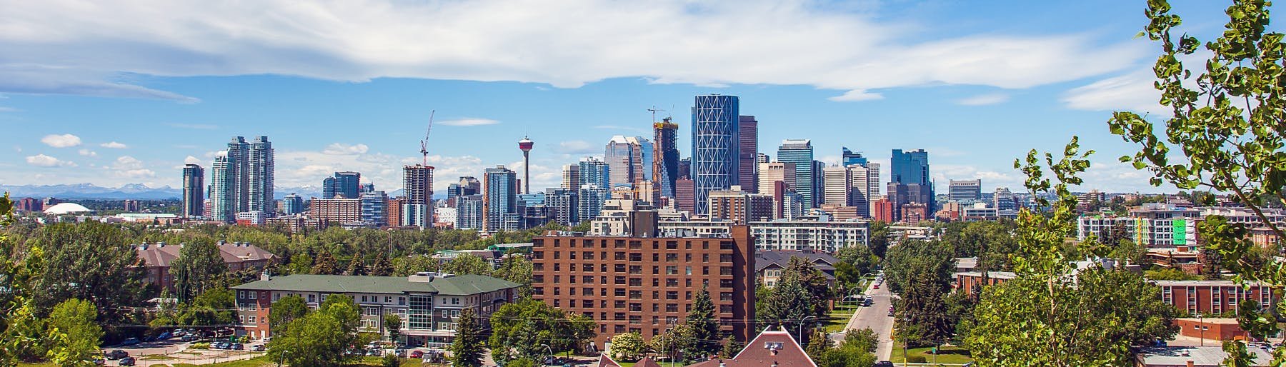 A path with trees and grass and Calgary's cityscape in the background