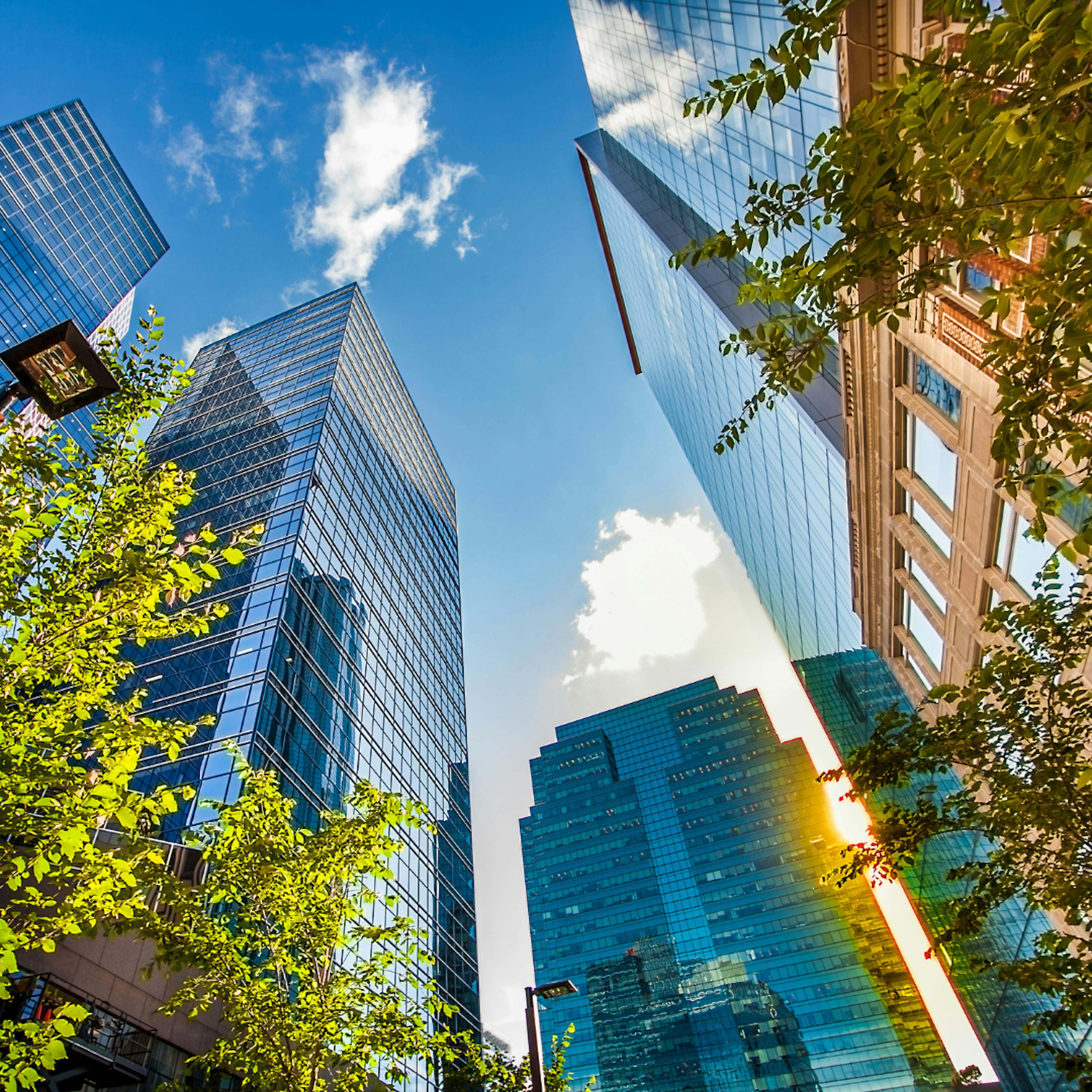 Buildings with a blue sky and trees