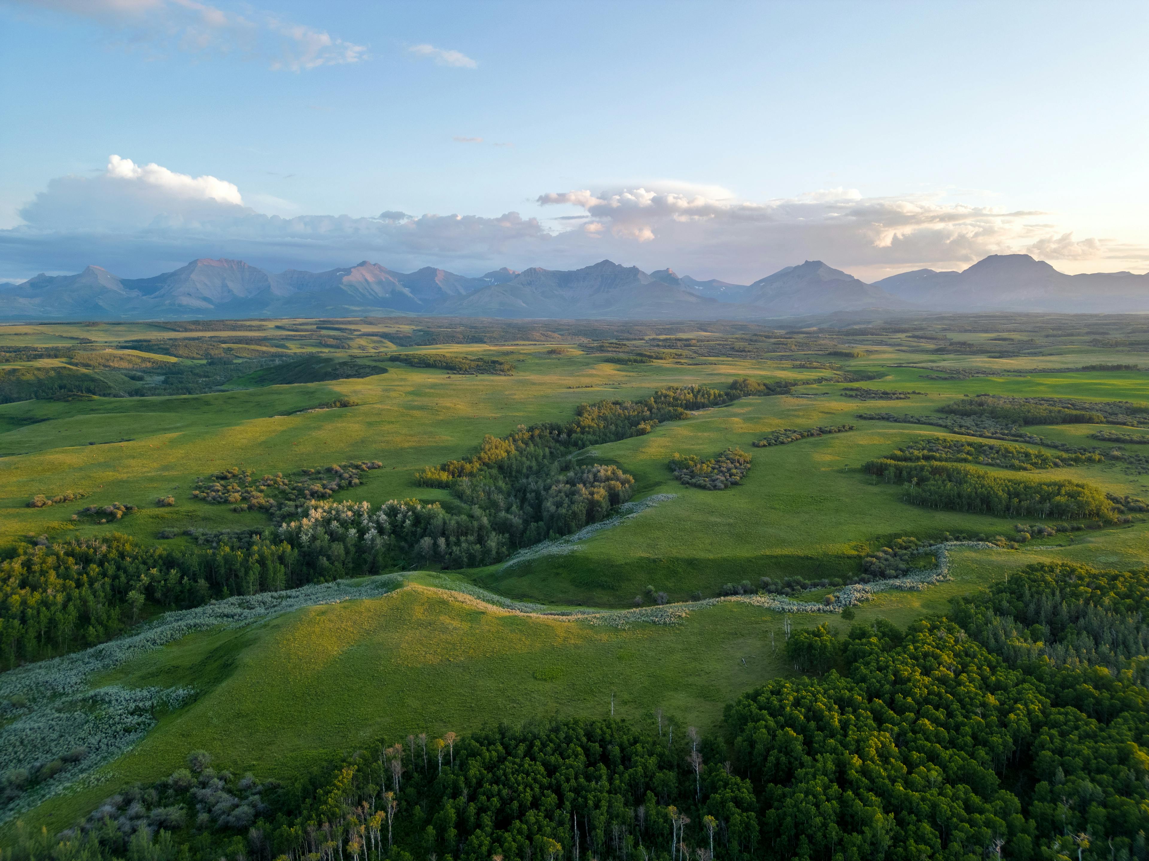 Aerial photo of Alberta landscape with rolling hills, river, and mountains in the distance. 