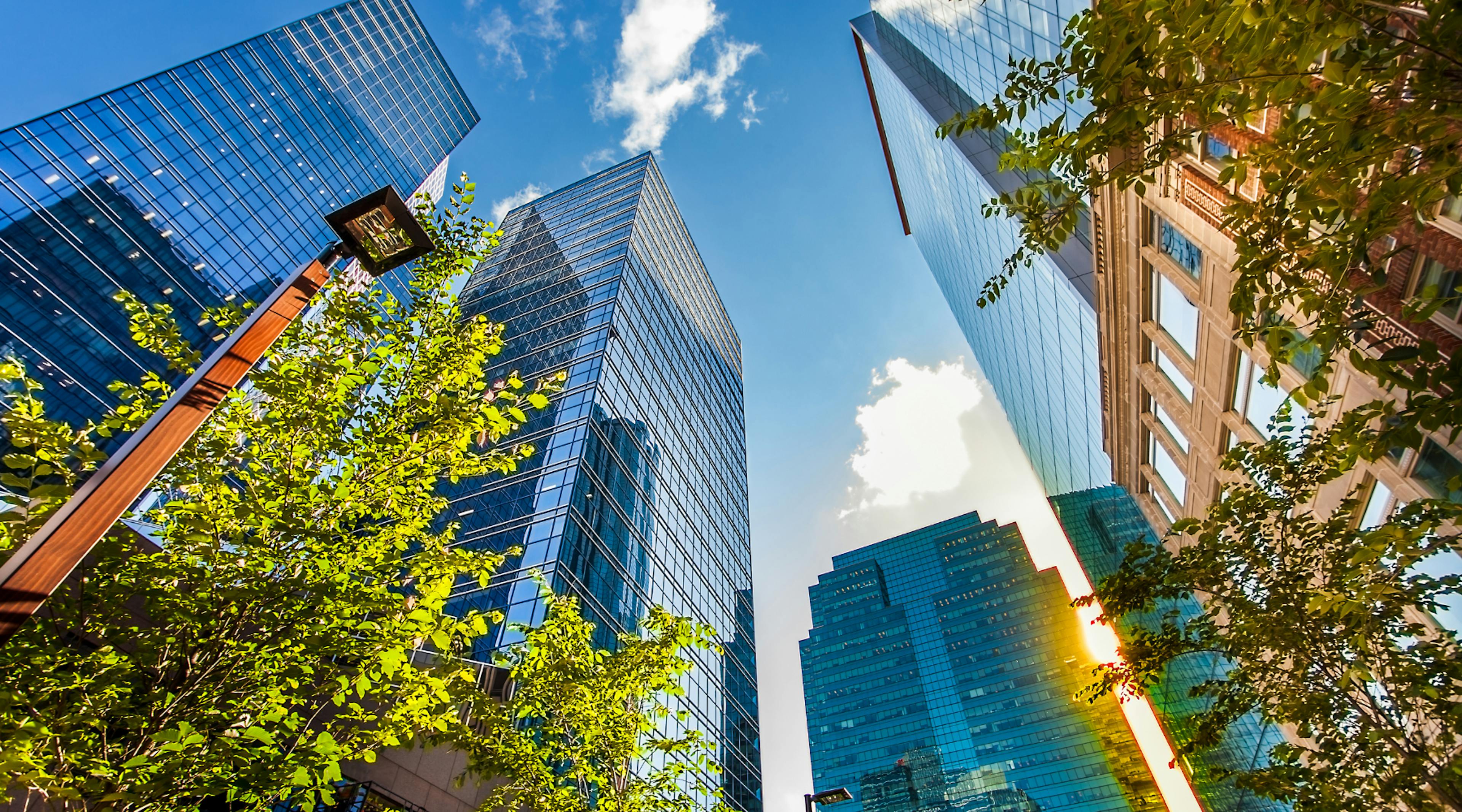 Buildings in urban centre with trees in front