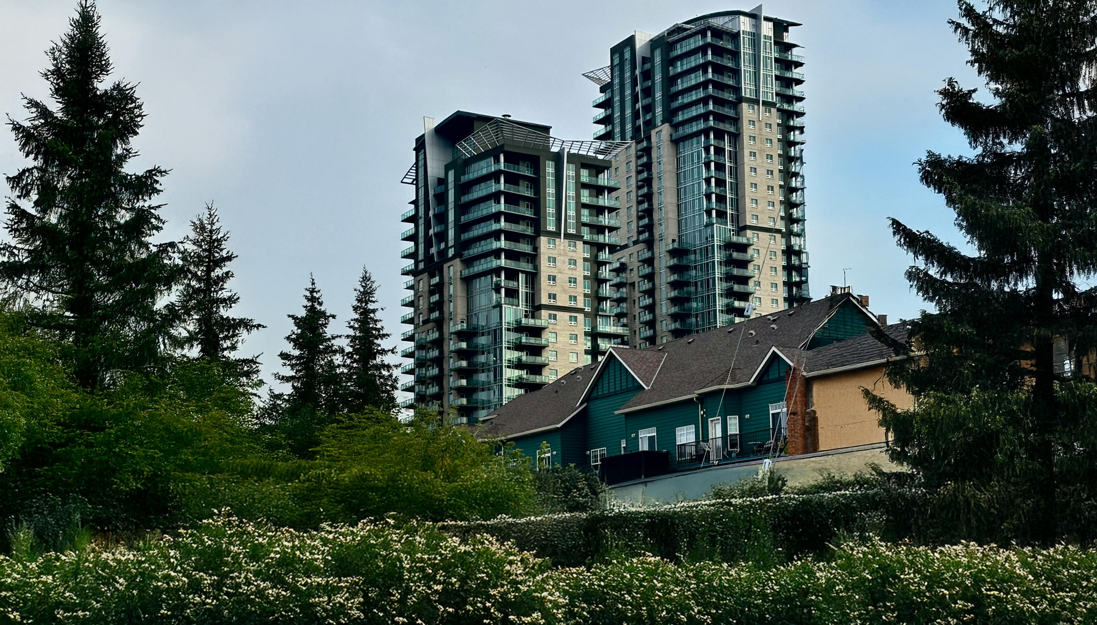 apartments behind bushes and trees