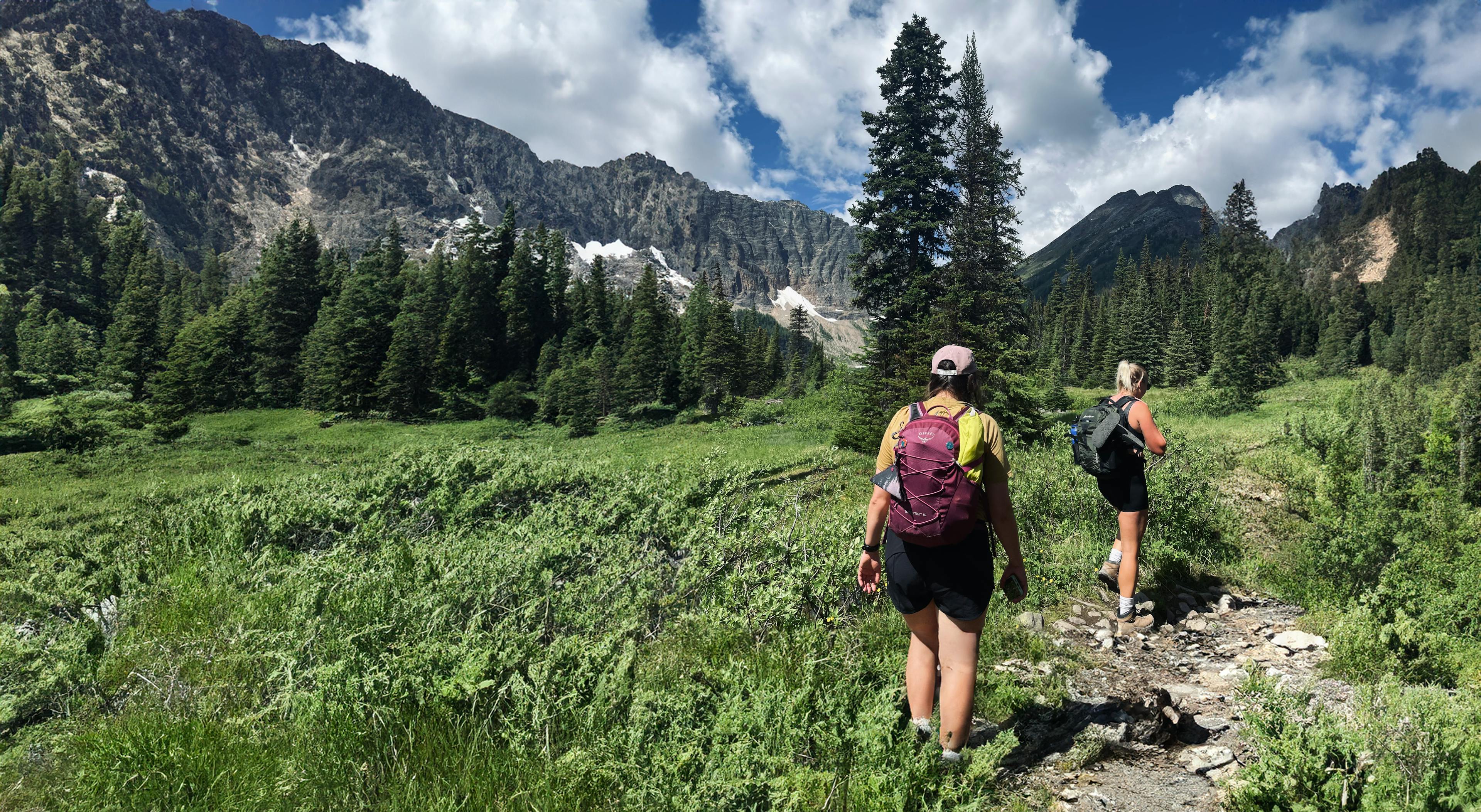 Hikers walking through field toward mountain