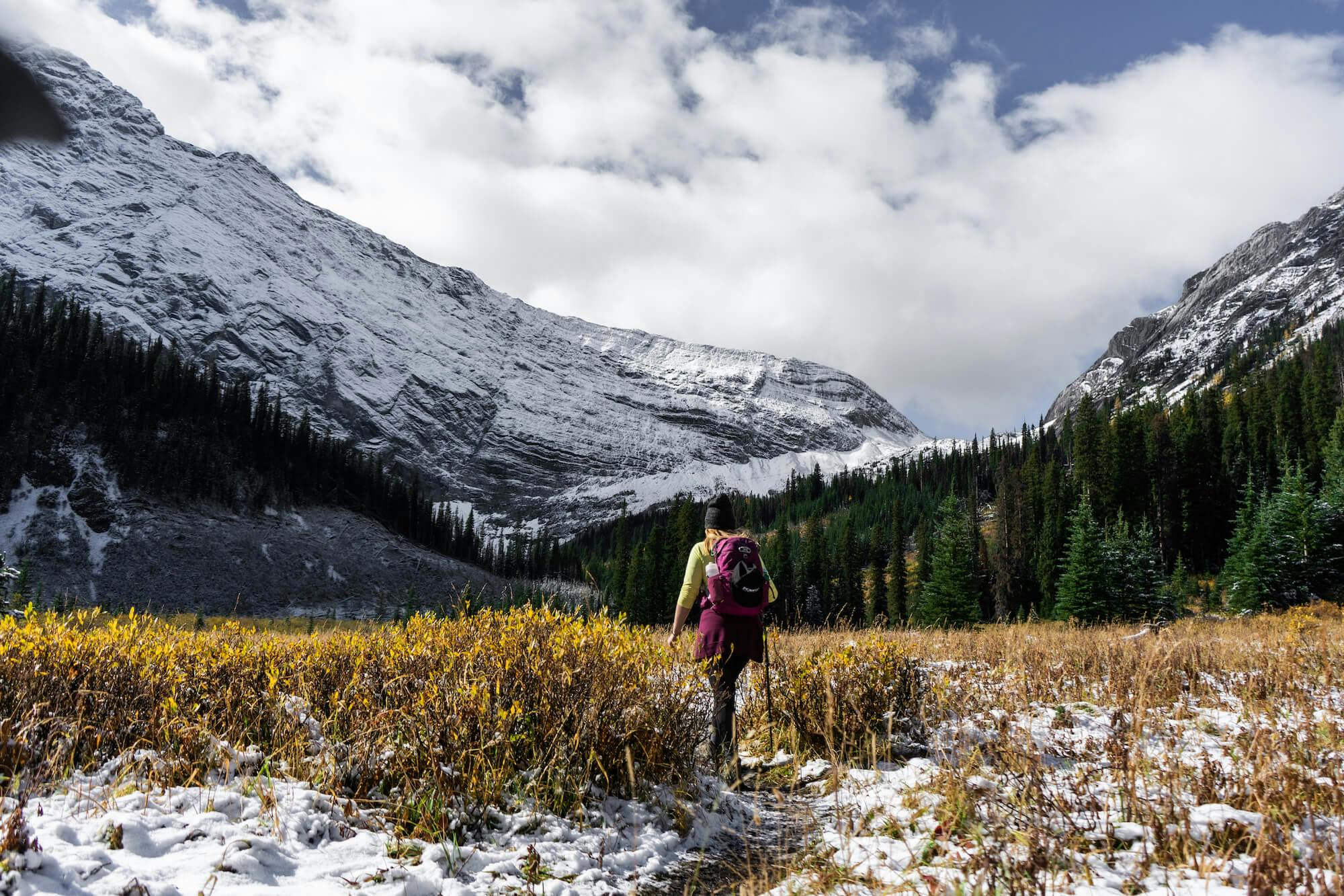 A hiker in a green sweater walks through thick grasses below a mountain