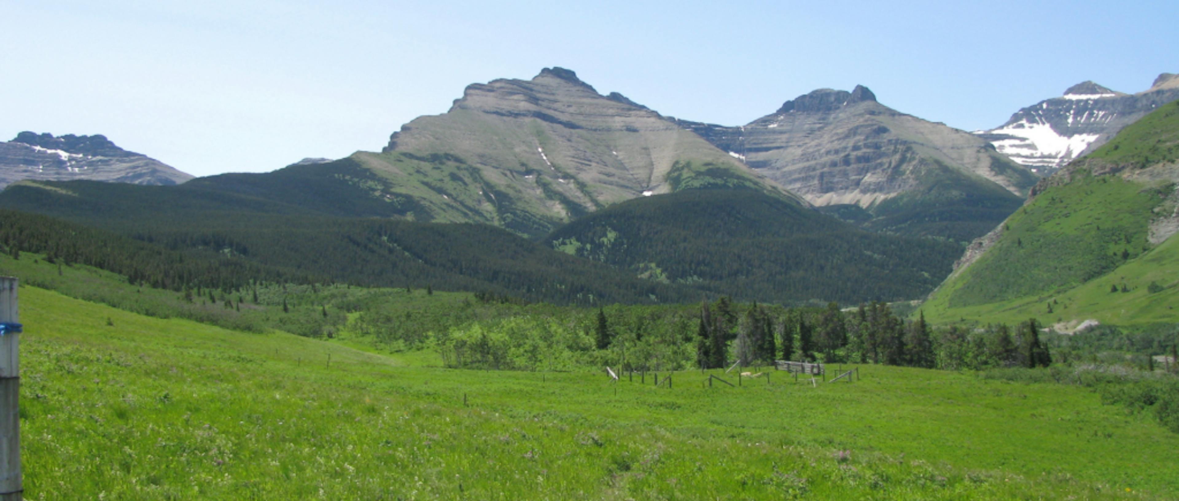 Looking onto a mountain range from a green field