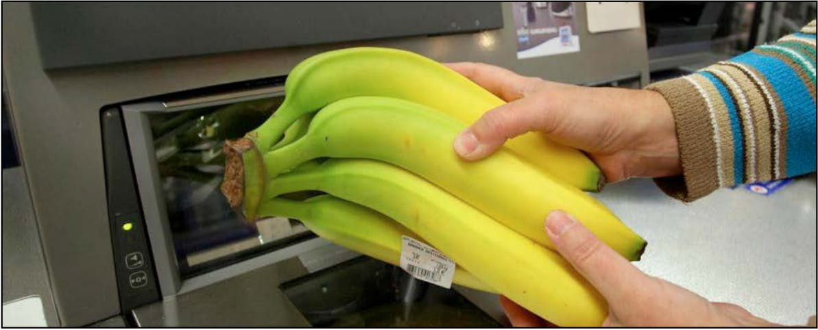 Food Waste: Banana Special