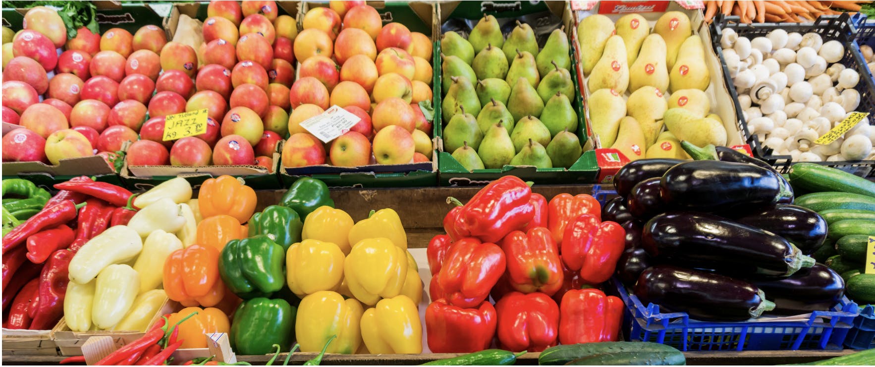 REVEALED: The €90 billion hidden cost of managing unsold and surplus food