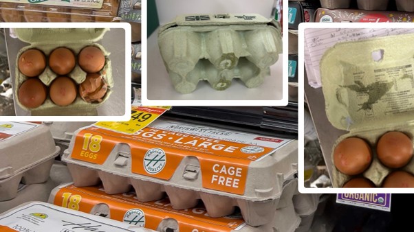 Managing Broken Eggs [Food Waste] in Boxes - Retailer Insights