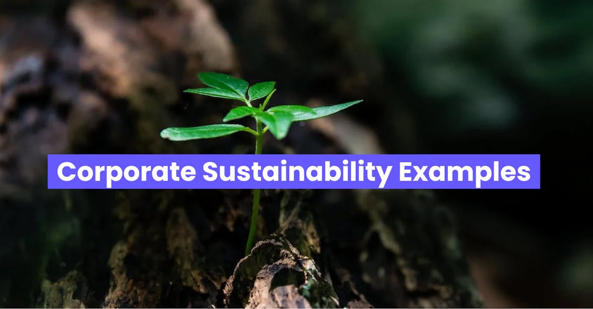 Corporate Sustainability Examples - EdApp