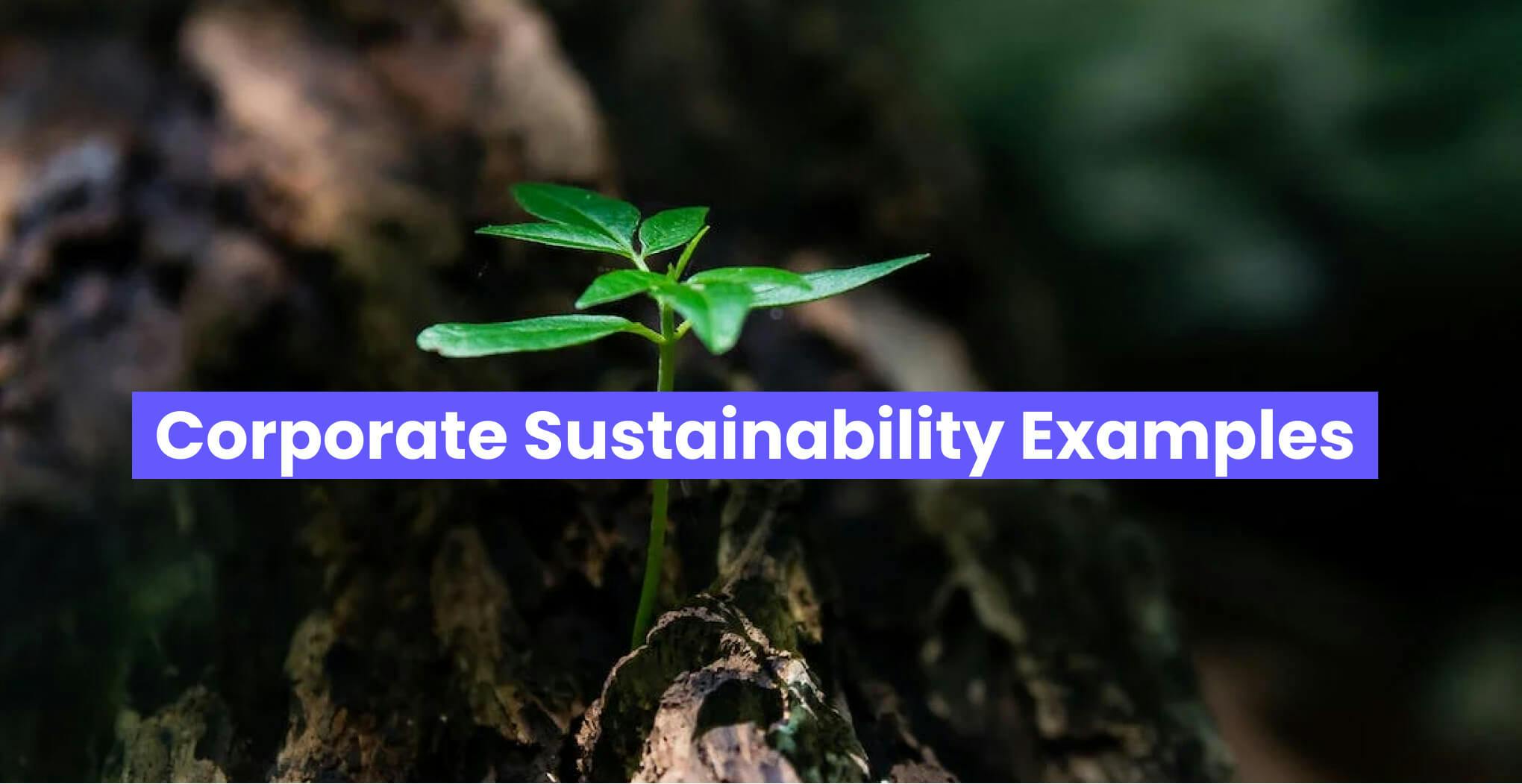 Corporate Sustainability Examples - SC Training (formerly EdApp)