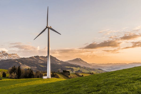 Corporate Sustainability Examples - Renewable Energy
