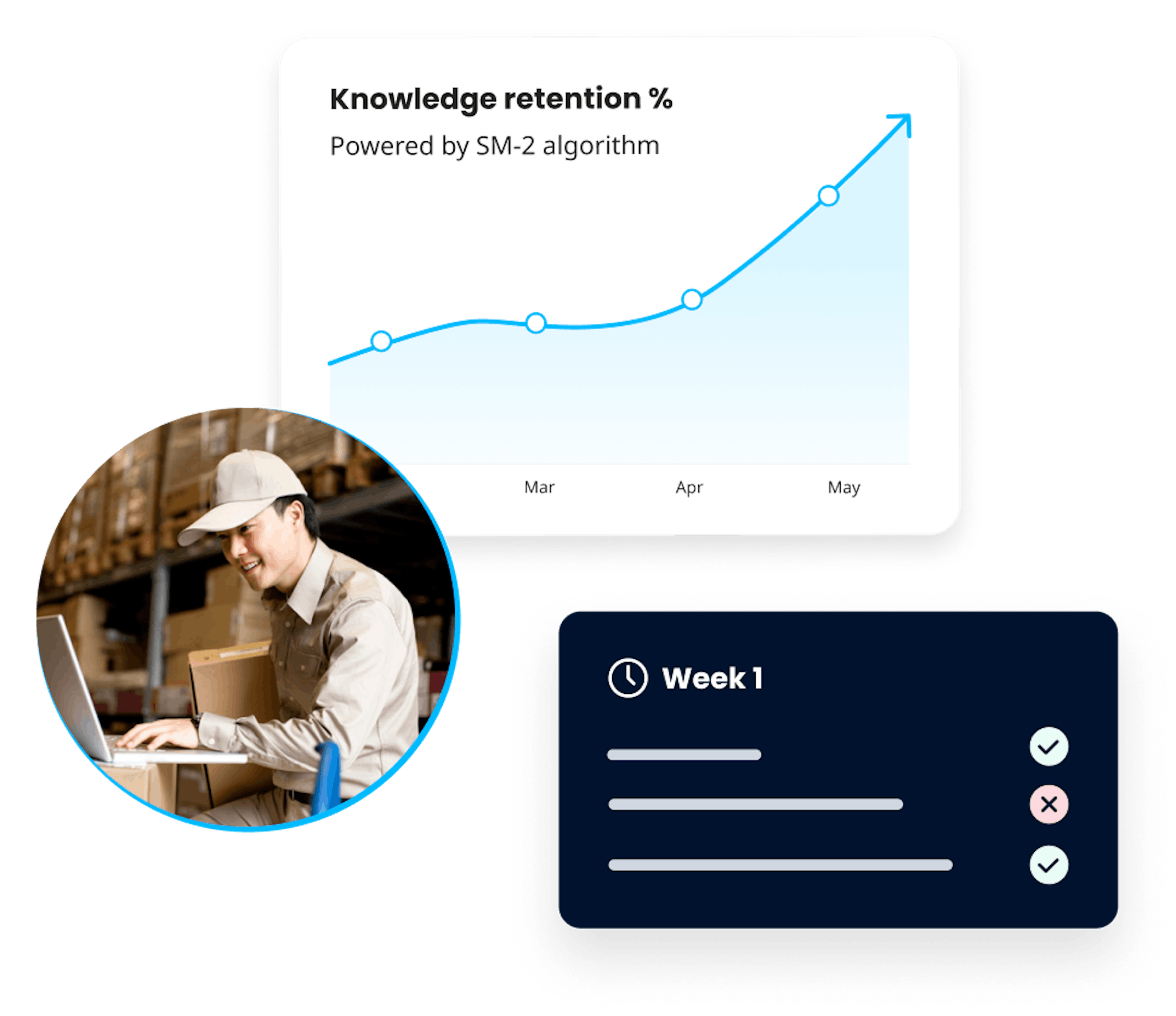 spaced repetition - review info